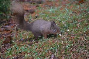 Middle Studfold Farm B&B