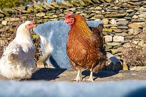 Middle Studfold Farm B&B