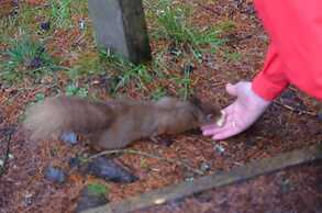 Middle Studfold Farm B&B