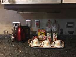 Fully furnished luxury apartment