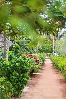 Sandies Baobab Beach Zanzibar