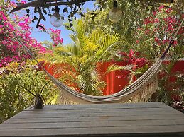 Tropical Breeze Apartments