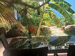 Tropical Breeze Apartments