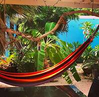 Tropical Breeze Apartments