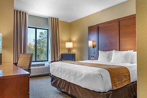 Comfort Inn & Suites Boise Airport