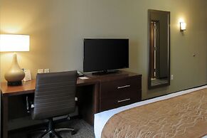Comfort Inn & Suites Boise Airport