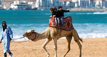 Prestige Atlantic chalet  apartment