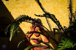 Maison Bougainvillea