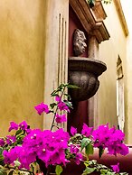 Central Bougainvillea