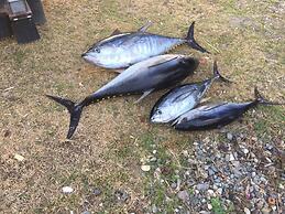 House of the Rising Sun