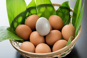 Yama no Yado Shimofujiya