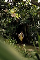 Wave House - Surf Camp