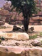 Vinpearl Resort & Golf Nam Hoi An