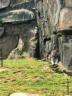 Vinpearl Resort & Golf Nam Hoi An