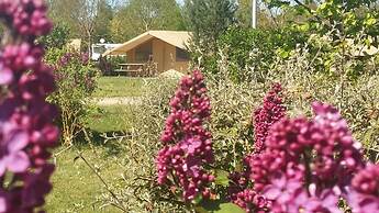 Camping des Platanes