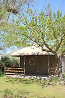 Camping Le Clos du Rhône