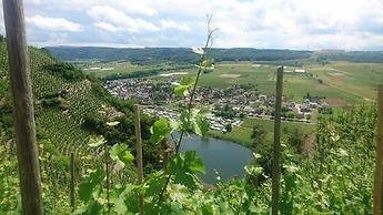 Weingut & Gästehaus Kaufmann-Schneider