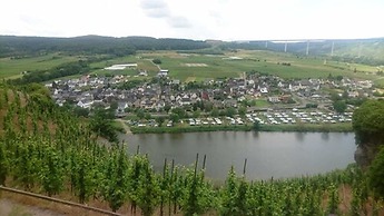Weingut & Gästehaus Kaufmann-Schneider
