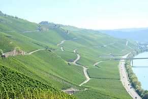 Weingut & Gästehaus Kaufmann-Schneider