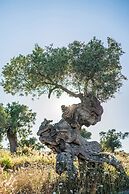 Carrossa Hotel & Spa