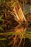 Orla Náutica Pousada