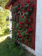 Björnåsen Bear Hill