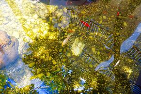 Riverside Apartments By The Beach