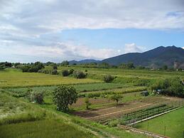 La convenienza