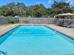 Kingfisher Oceanside