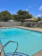 Kingfisher Oceanside