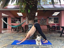 Dolphins Beach House - Hostel