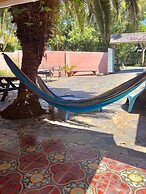 Dolphins Beach House - Hostel