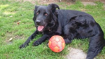 Cozy Apartment with Roof Terrace