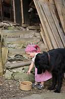 Cozy Apartment with Roof Terrace