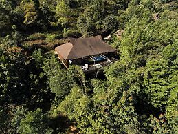 The Tamara Coorg