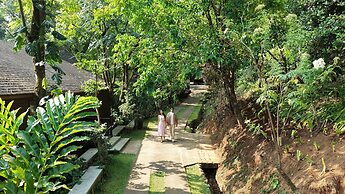 The Tamara Coorg