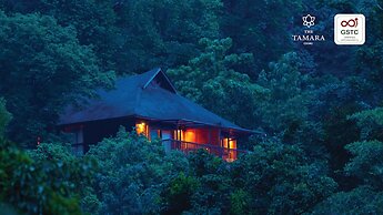 The Tamara Coorg