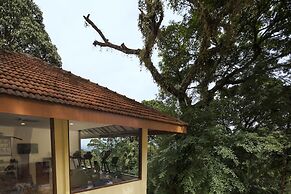 The Tamara Coorg
