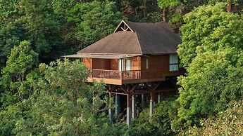 The Tamara Coorg