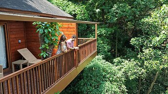 The Tamara Coorg