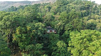 The Tamara Coorg