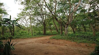 Victoria Guest House and Cottages