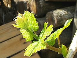 Das Gästehaus in Valwig