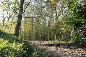 Hanarenoyado Sennomori