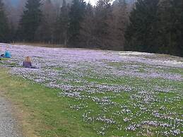 Landhaus Seehof