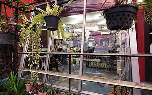 Phuket Paradiso Hotel