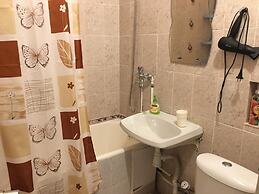 Hanaka Apartments on Zeleniy 93