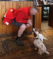 The Fleur de Lys Inn