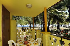 International Camping Torre Cerrano