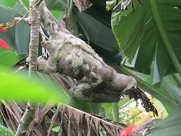 Alta Vista Amazon Lodge